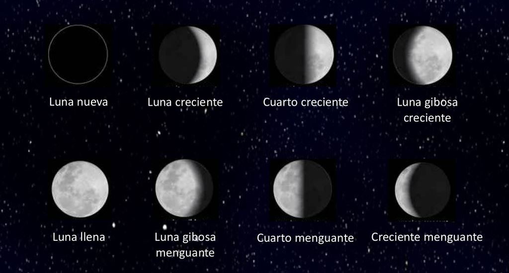 Actividad "Fases Lunares" Martes 26 de abril de 2022, Ciencias