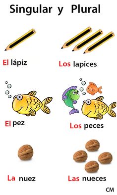 647204a21d176c9e27cb6c7c3624de74 spanish words spanish grammar