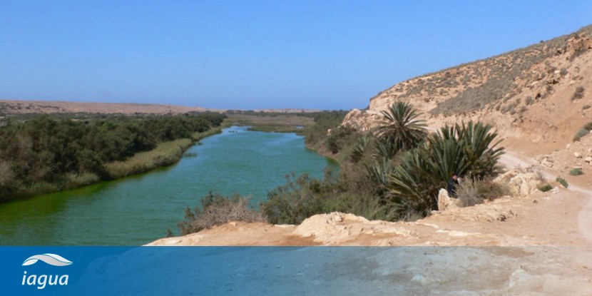 estuario 