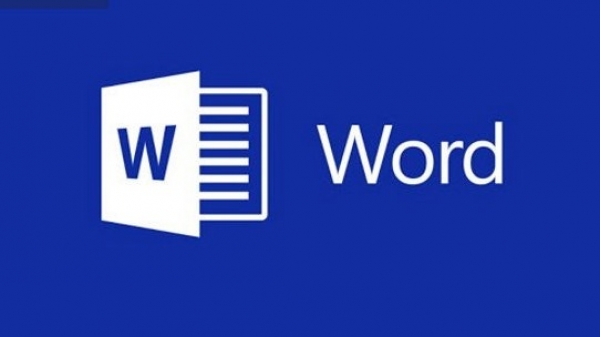 ms word 13