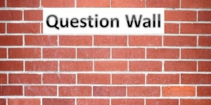 Friday, October 16th: Question wall. 2° preescolar