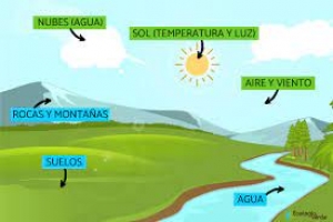 Miércoles 19 de enero de 2022 ¿Cómo funcionan los ecosistemas y las cadenas alimentarias? Ciencias Naturales 4° Primaria.