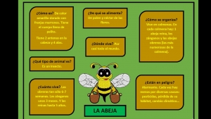 Lunes 8 de Diciembre, Realicemos un esquema 3° preescolar.