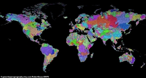 Martes 11 de enero: Ríos del mundo. 1°A Geografía