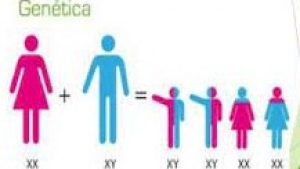 Miércoles  17 de noviembre de 2021 ¿A quién me parezco y cómo contribuyo a mi salud sexual? 6° Ciencias Naturales