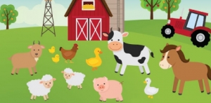 Thursday, March 11: Farm animals. 1° primaria