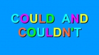 Activity 22: Could & Couldn't. - January 12th