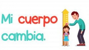 Martes 12 y miércoles 13 de octubre de 2021 ¿Por qué y cómo cambia mi cuerpo? 4° Ciencias Naturales.