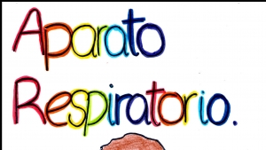 Lunes 19 de octubre &quot;El aparato respiratorio&quot; 3° Primaria.